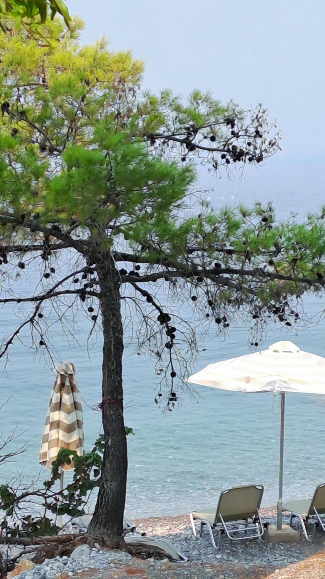 Nama Beach House Arkadiko Chorio Εξωτερικό φωτογραφία