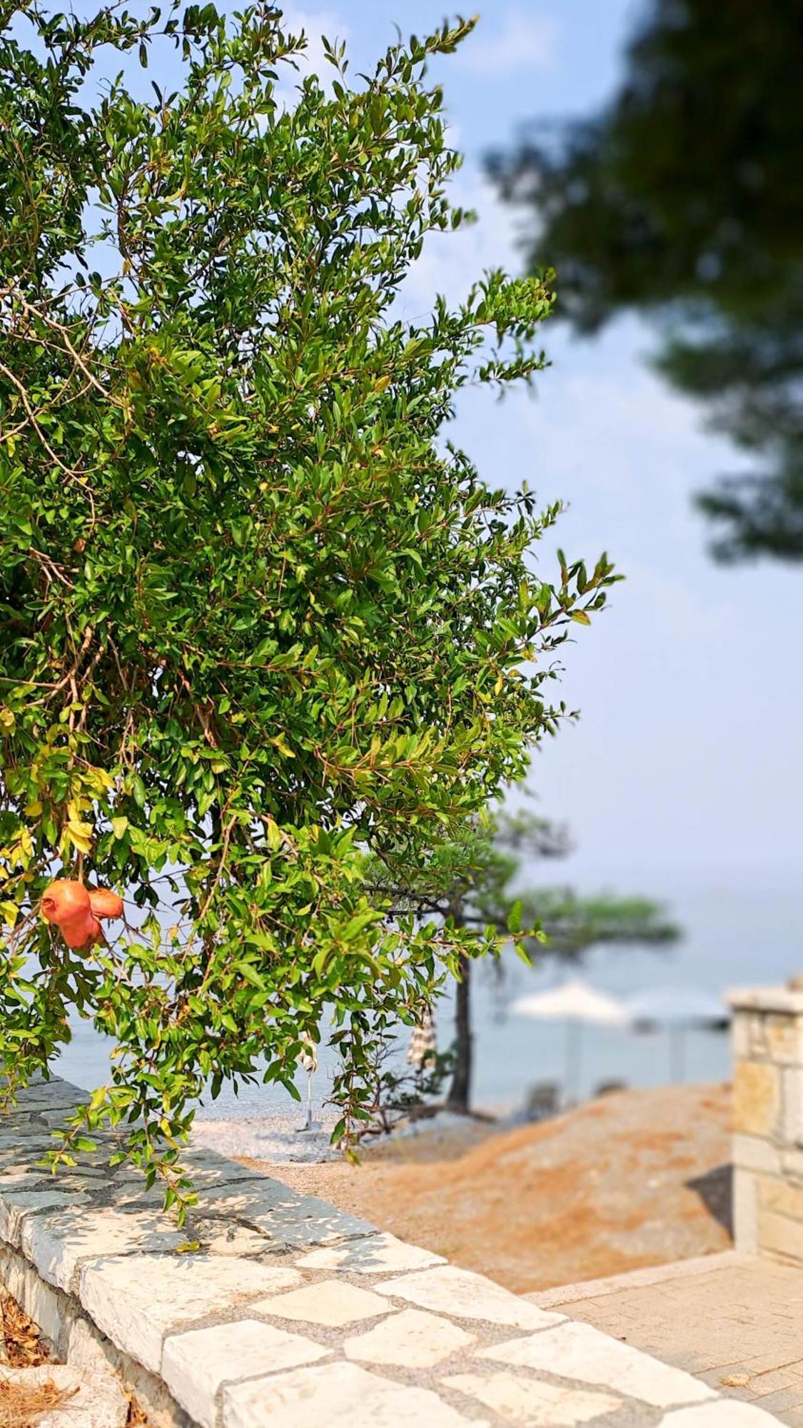 Nama Beach House Arkadiko Chorio Εξωτερικό φωτογραφία